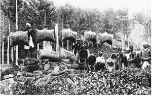 OLD-ceylon-tea-industry-5