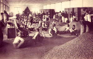 OLD-ceylon-tea-industry-7